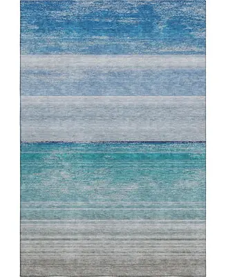 Pacifica Washable PA7 10'x14' Area Rug Buy Online
