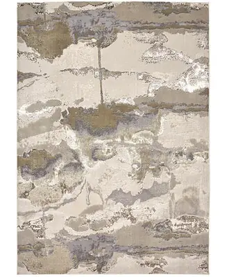 Aura R3737 5' x 8' Area Rug Genuine