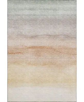 Pacifica Washable PA8 10'x14' Area Rug Trending