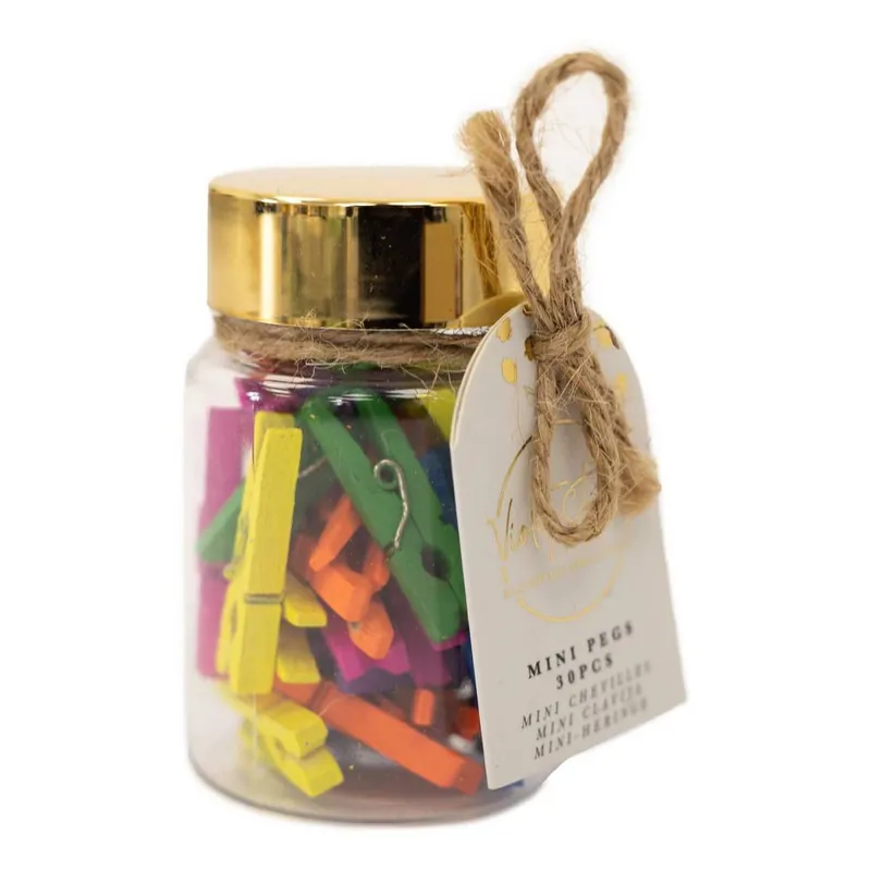Violet Studio Bright Mini Pegs Jar 30 Pack Best Price