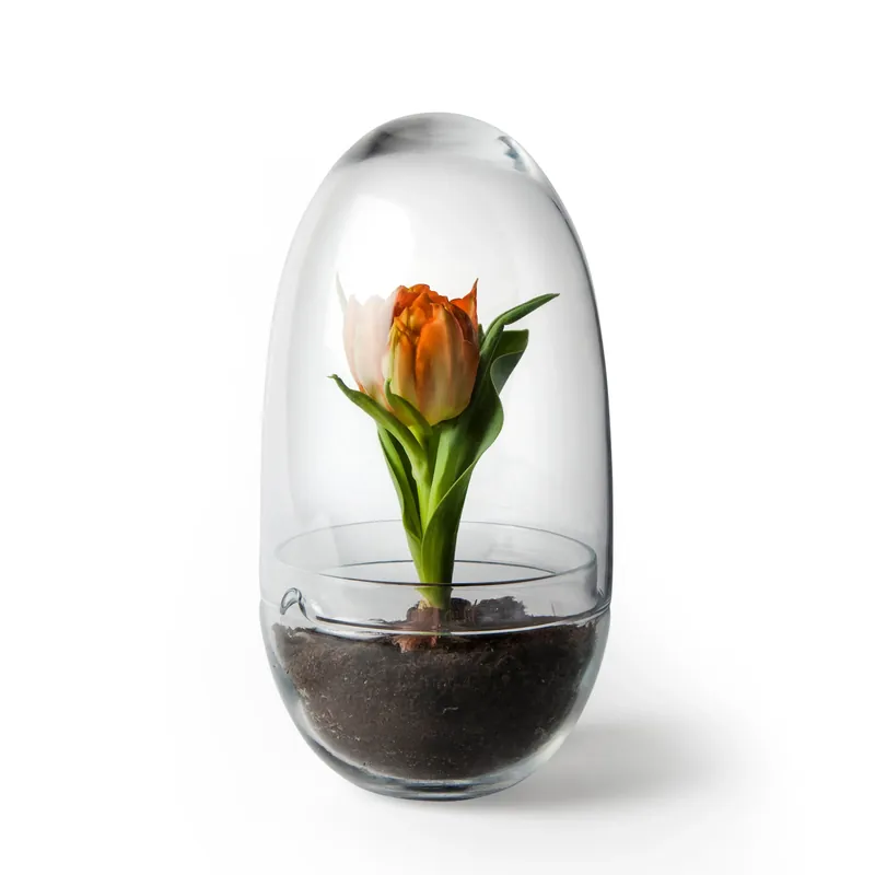 Grab Now Grow greenhouse, Medium Ø11 cm