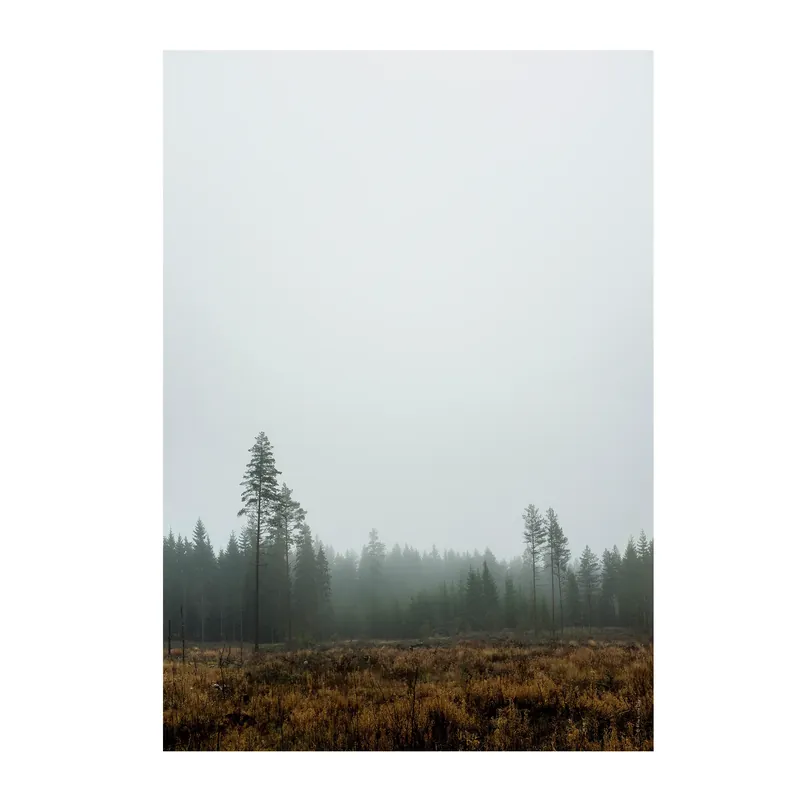 Save Now Skog poster, 70x100 cm