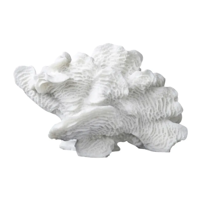 Shop Now Coral fan, White