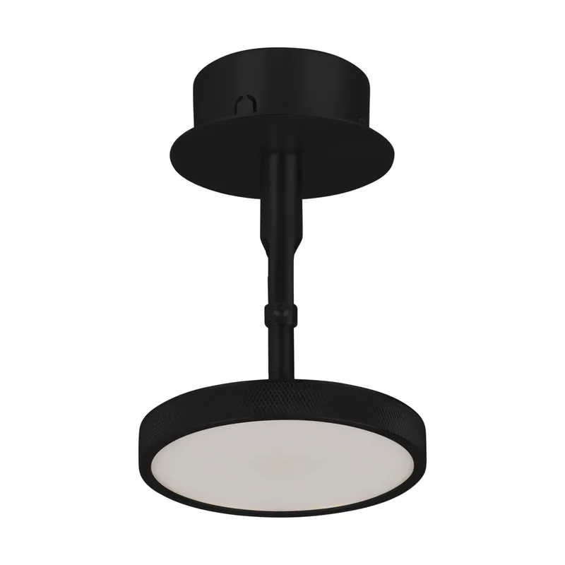 Asteria Spot ceiling and wall lamp Ø12 cm, Polished brass Special Offer