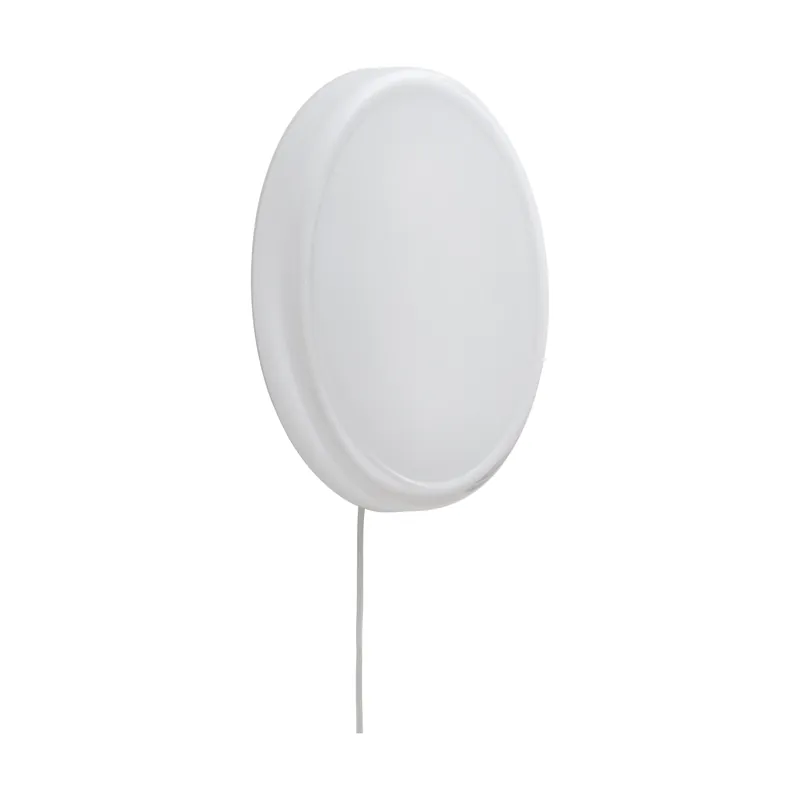 Professional Grade Looped ceiling light, White