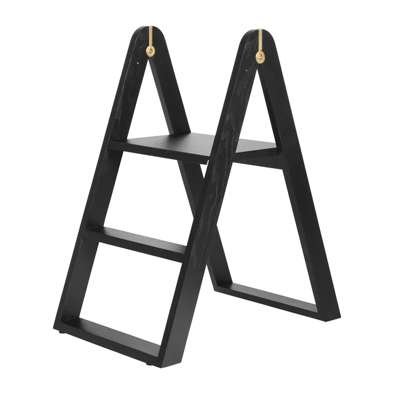 In Demand Reech step ladder , Black