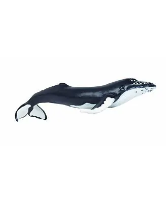Brand New Humpback Whale Sea Life
