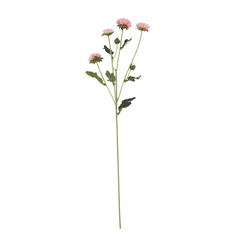 Pink Buckingham Spray Chrysanthemum 60cm Factory Price