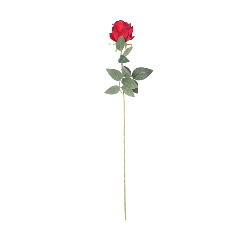 Don’t Miss Out Burgundy Arundel Rose 70cm x 10cm