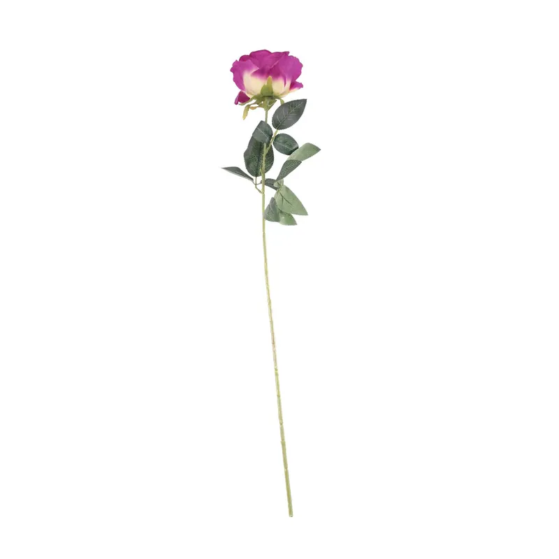 Mauve Arundel Rose 70cm One Day Deal