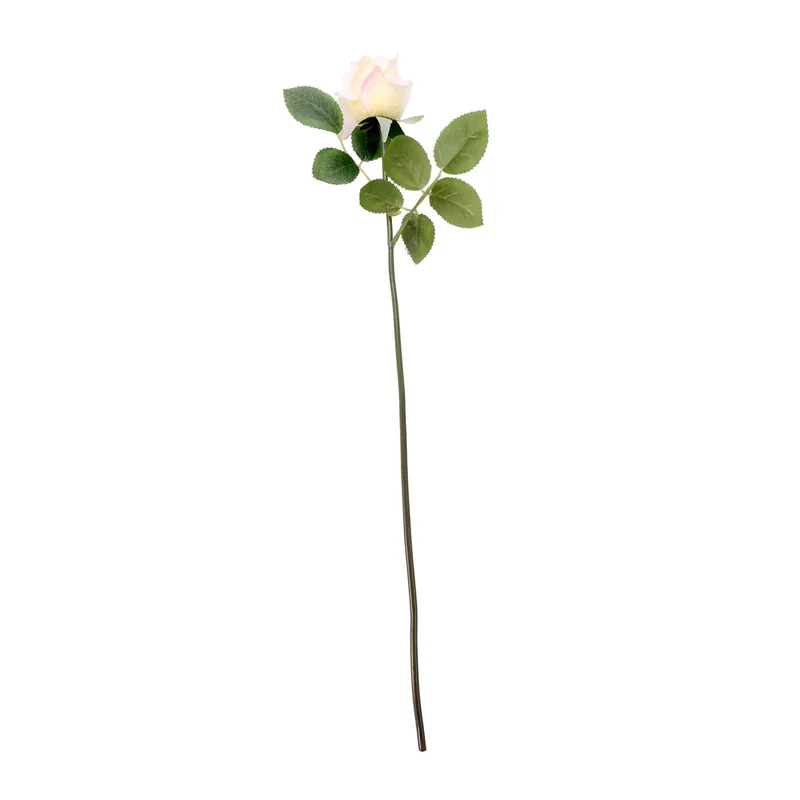 Ivory Arundel Rose Bud 55cm x 6cm Bargain