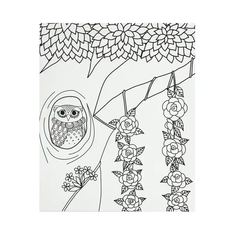 Owl Colour-in Canvas Hot Deal