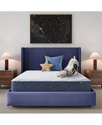 Express Delivery Dream Haven 10" Medium Tight Top Mattress in a Box - Queen
